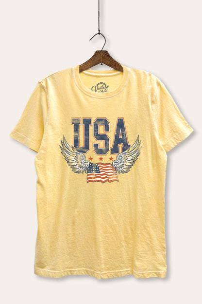 USA Flag Wings Of Freedom Graphic Mineral Wash Relaxed Tee