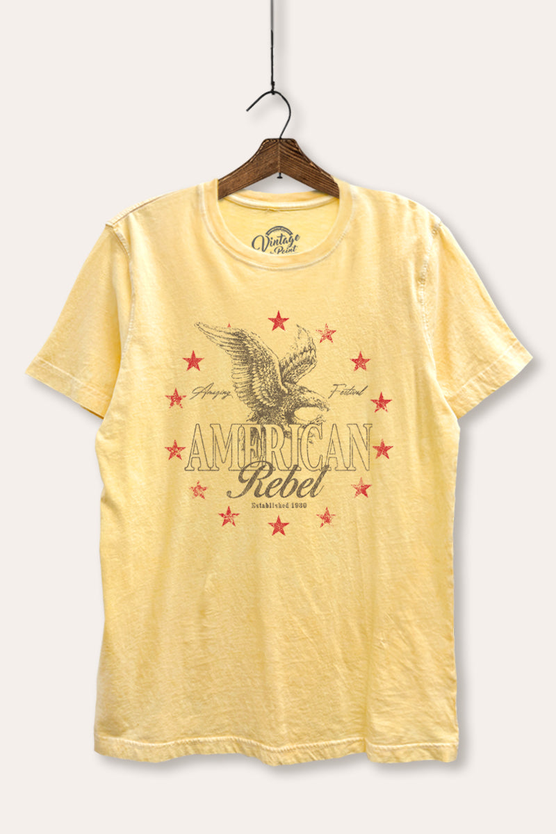 American Rebel Eagle Graphic Mineral Wash Relaxed Tee