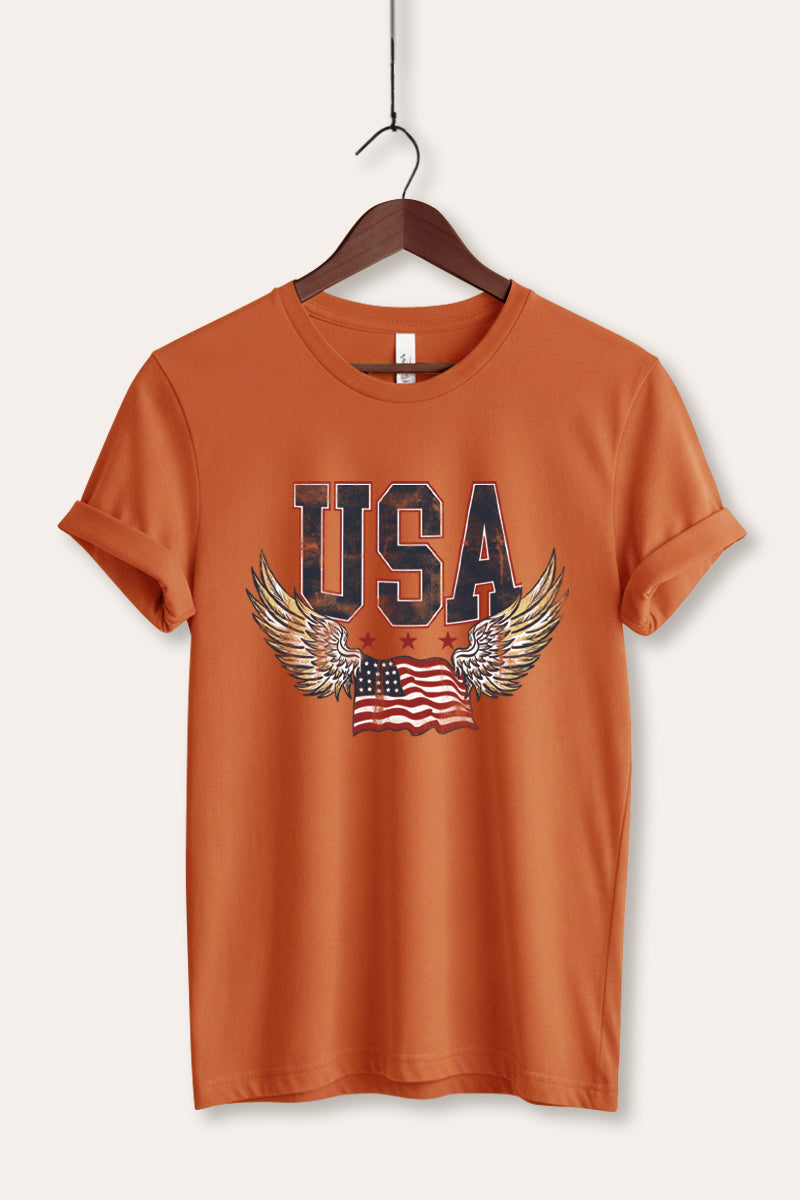 USA Flag Wings Of Freedom Graphic Women's Jersey Tee